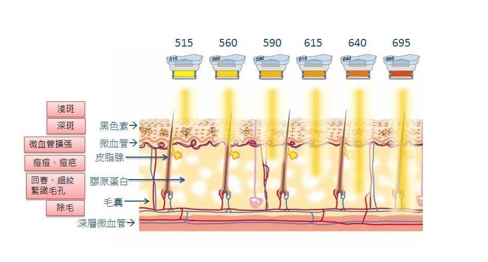 濾光片 不同波段對皮膚的作用