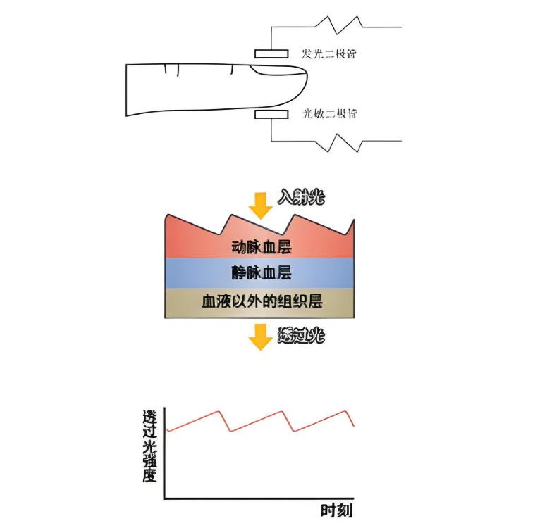 脈搏血氧儀簡介與光學原理<