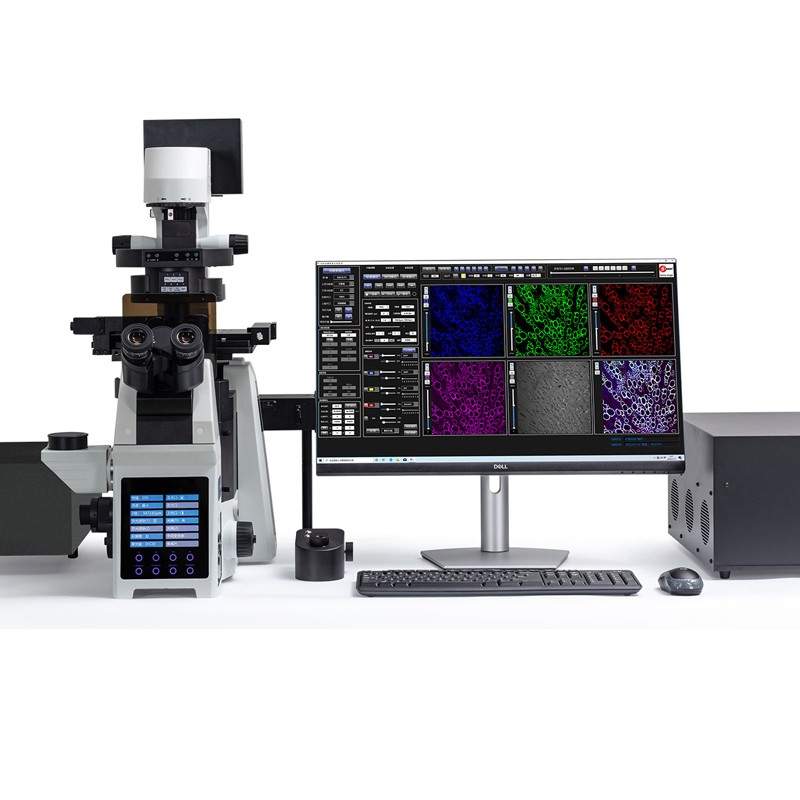 激光掃描共聚焦顯微鏡