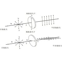 光的魔術(shù)師：偏光鏡如何塑造人類的光學世界