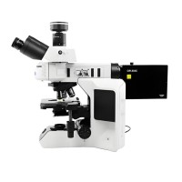 洞察微觀色彩：熒光顯微鏡光源及濾光片簡要分析