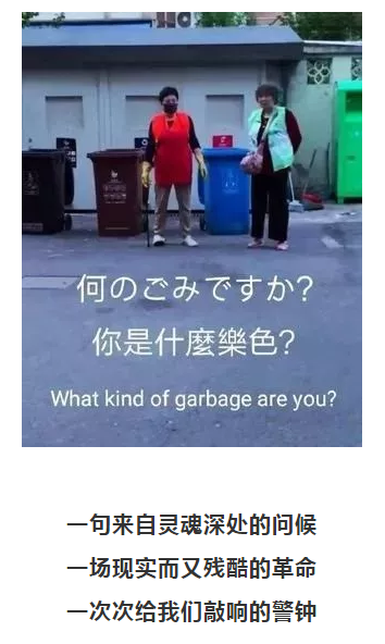 你被“垃圾分類”洗腦了嗎?揭秘強制分類背后的驚天秘密!- 你被“垃圾分類”洗腦了嗎?揭秘強制分類背后的驚天秘密!-