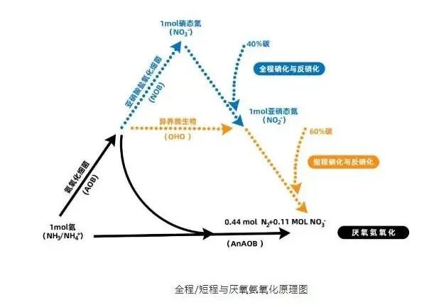 面對低濃度氨氮工業廢水束手無策?這幾種方法可以解決- 面對低濃度氨氮工業廢水束手無策?這幾種方法可以解決-